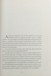 Coluk Cocuk: Die 20. Edition des türkischen Bestsellers