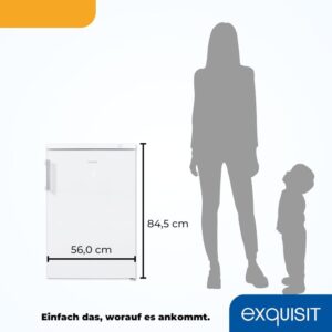 Exquisit Gefrierschrank GS581-H-010D weiss - kompaktes Design mit 85 Liter Nutzinhalt