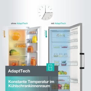 Gorenje R 619 DAXL6 Kühlschrank - Edelstahl, 398 Liter, AdaptTech, FreshZone, SuperCool