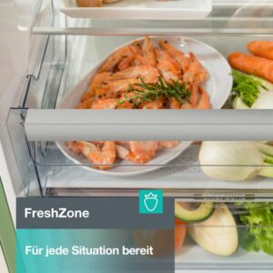 Gorenje R 619 DAXL6 Kühlschrank - Edelstahl, 398 Liter, AdaptTech, FreshZone, SuperCool