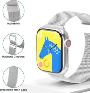 Higgs Metall Armband für Apple Watch Ultra/Ultra 2 - 49mm bis 38mm - Dual Magnetisch - Silber