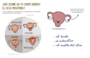 La regla mola: Si sabes cómo funciona (Menstruita) - Dein informatives und unterhaltsames Buch auf Spanisch