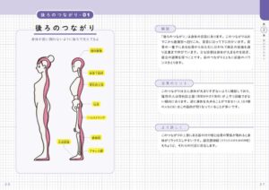 世界一わかりやすい 筋肉のつながり図鑑 - Dein Leitfaden für die menschliche Muskulatur