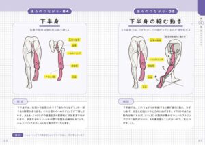 世界一わかりやすい 筋肉のつながり図鑑 - Dein Leitfaden für die menschliche Muskulatur