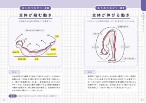 世界一わかりやすい 筋肉のつながり図鑑 - Dein Leitfaden für die menschliche Muskulatur