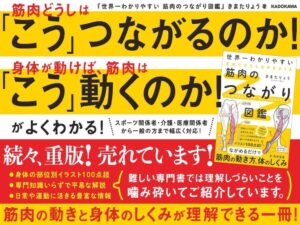 世界一わかりやすい 筋肉のつながり図鑑 - Dein Leitfaden für die menschliche Muskulatur