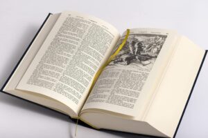 Die Bibel - Altes und Neues Testament in Cabra-Leder gebunden mit Goldprägung: Die heilige Schrift mit über 200 historischen Illustrationen