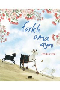 Farkli Ama Ayni: Ein faszinierendes türkisches Buch für Kinder ab 9 Jahren