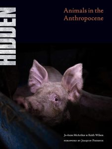 Hidden: Animals in the Anthropocene - Ein aufrüttelnder Blick auf das Verhältnis von Mensch und Tier