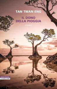 Il dono della pioggia (Le tavole d'oro) - Ein fesselndes italienisches Buch