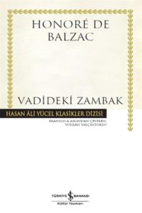 Vadideki Zambak: Hasan Ali Yücel Klasikler Dizisi - Ein Klassiker der türkischen Literatur