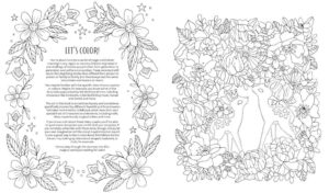 Fairy Tales & Folklore Coloring Book: Eine magische Reise inspiriert von skandinavischen Fabeln