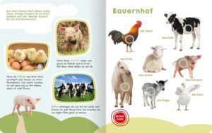 Mein großes Buch der Tiergeräusche: Hochwertiges Soundbuch für Kinder ab 24 Monaten