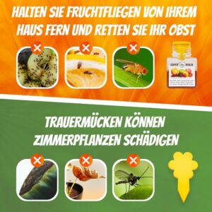 Super Ninja Fruchtfliegenfalle - Hochwirksame und ökologische Lösung gegen Fruchtfliegen